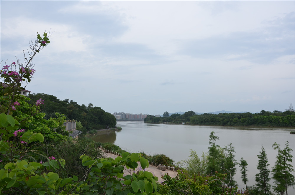 國(guó)務(wù)院：聚焦企業(yè)關(guān)切，進(jìn)一步推動(dòng)優(yōu)化營(yíng)商環(huán)境政策落實(shí)